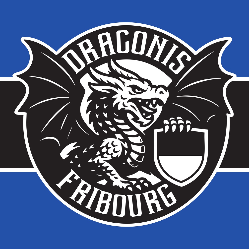 Draconis Fribourg Flagge beim Eishockey